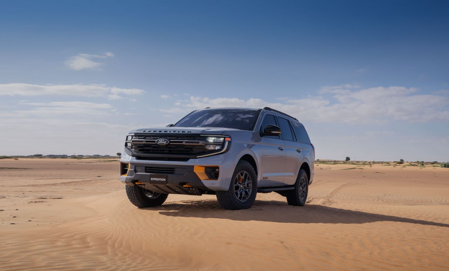 Ford Expedition Banner